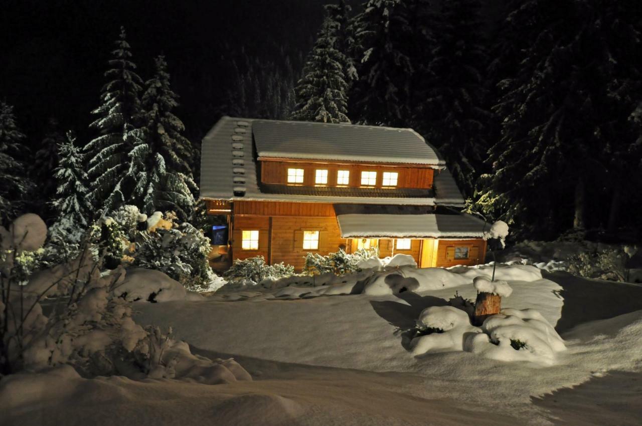 Chalet Styria Donnersbachwald Dış mekan fotoğraf